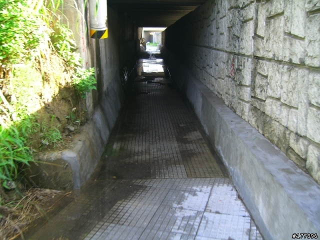 禮門街往中興路方向自行車道(圖多)
