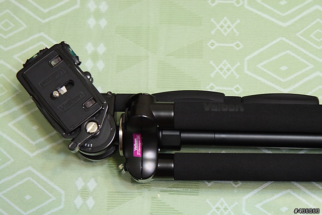 給我C/P值，其餘免談 Velbon EL Carmagne 445L(A) + QHD-62Q + PHD-51Q