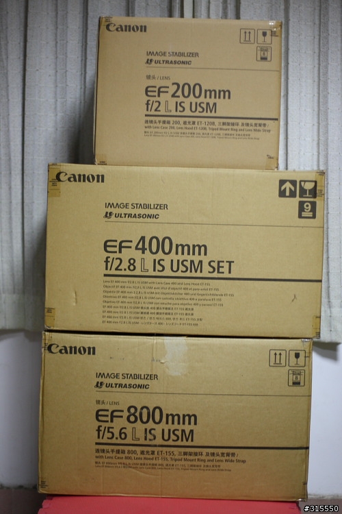 EF 800mm f5.6L IS 閩江河口 共同的牽掛