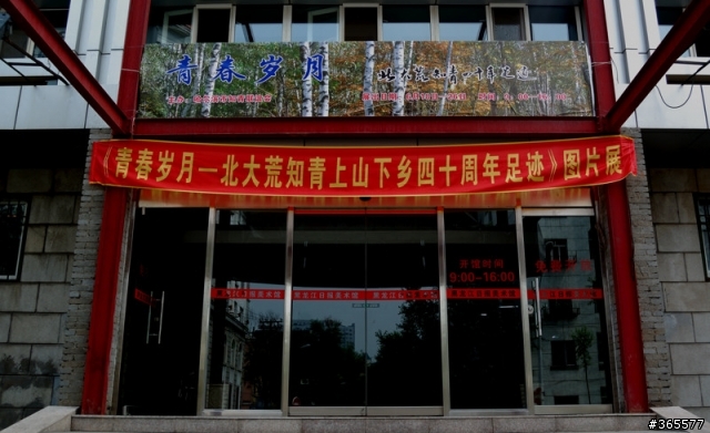哈尔滨/6月/河马最新拍摄