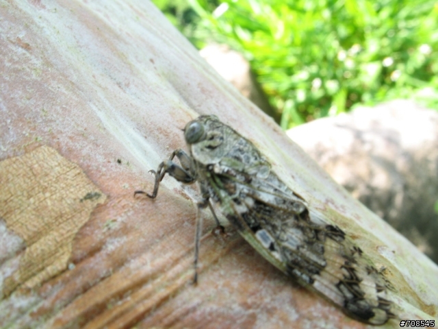 A640新手 請各位幫我看看吧!