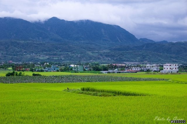 南橫、台東之美
