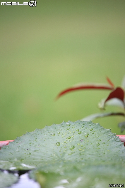 三元鏡~達成!!小小白IS再次入手~