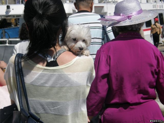 台灣琉球 -之- 海水正藍