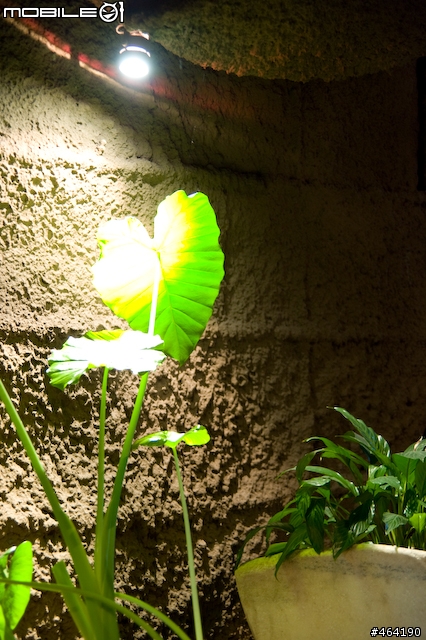 [開箱 ](10/14新增麗星郵輪沖繩行)Tamron A20 AF28-300/3.5-6.3  XR Di LD Asph. IF Macro VC for Nikon