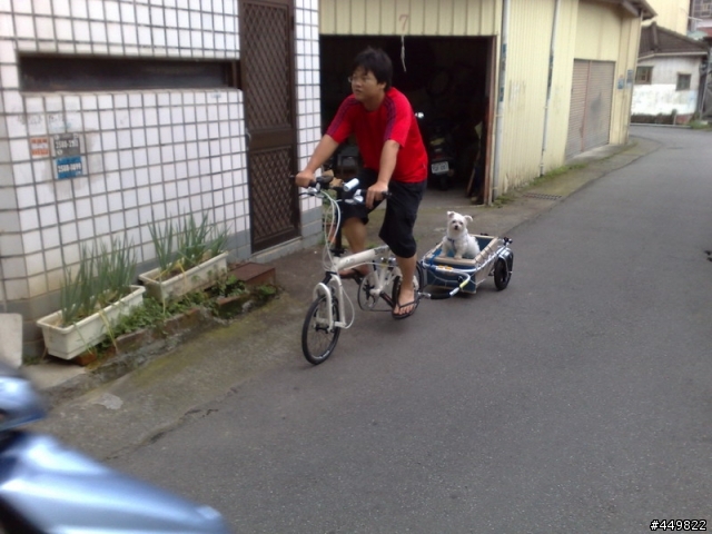 [Carry freedom拖車改裝] 兩個狗奴才為狗狗打造的拖車