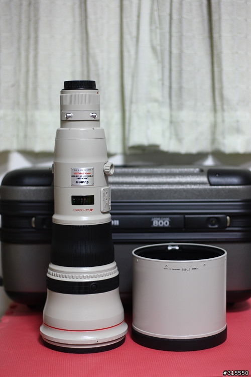 EF 800mm f5.6L IS 閩江河口 共同的牽掛