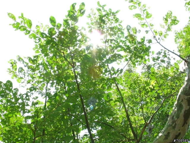 A640新手 請各位幫我看看吧!