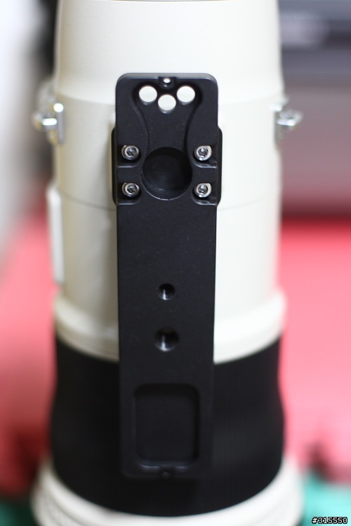 EF 800mm f5.6L IS 閩江河口 共同的牽掛