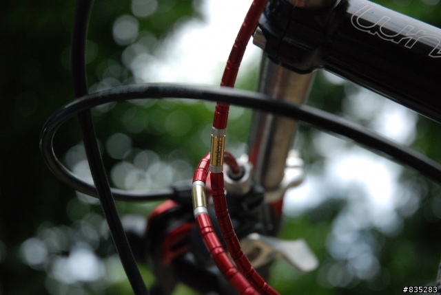 [分享]鈦合金雙避震登山車 LiteSpeed Sewanee Ti MTB