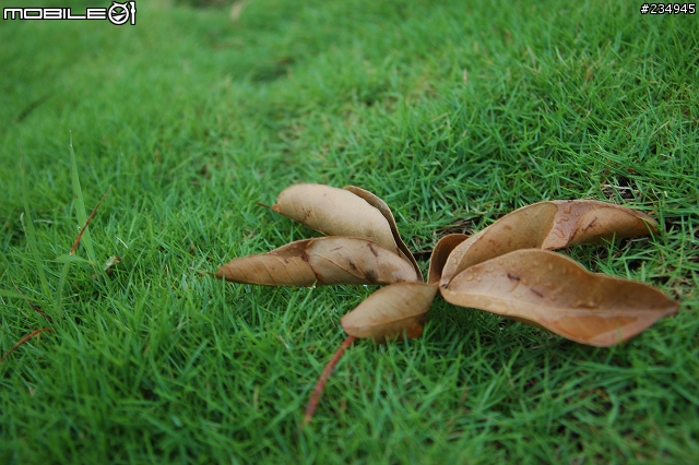 老鏡vivitar 28-105mm f2.8-3.8 macro
