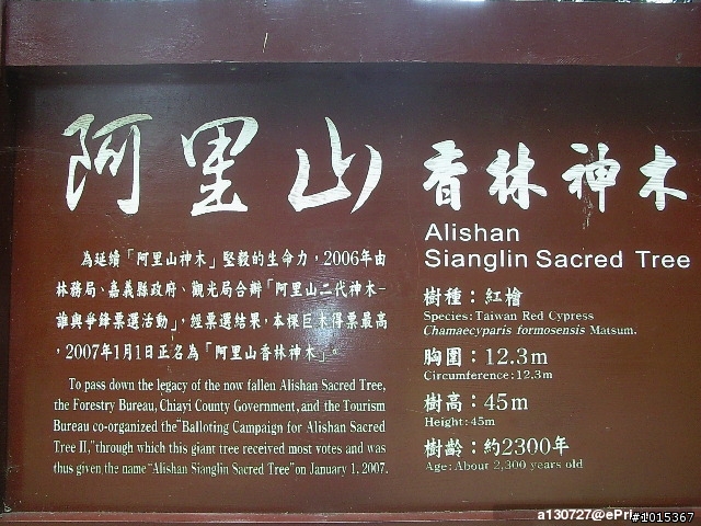 G808 VS CANON 一場手機 和DC的對決