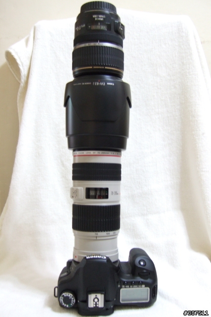 [不不專業開箱]EF 70-200MM F4 L IS USM...小小白IS