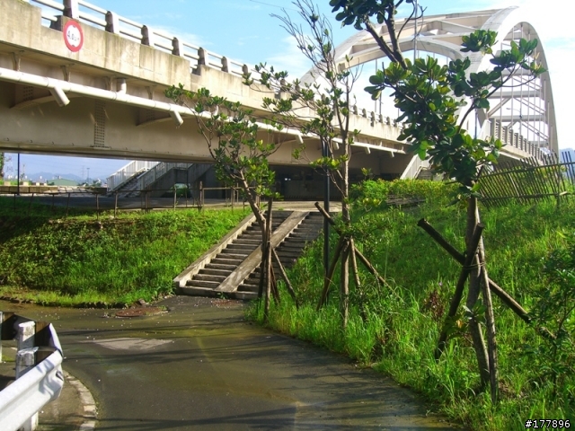 禮門街往中興路方向自行車道(圖多)