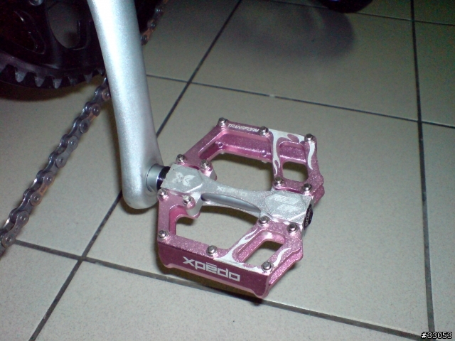 粉鳥專用踏板!?