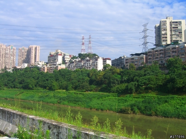 禮門街往中興路方向自行車道(圖多)