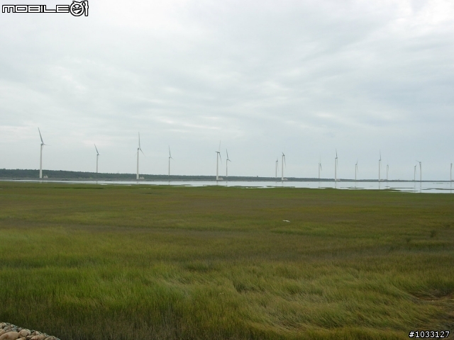 [遊記]2008.06.07 台中梧棲、高美單車輕鬆行(硬斗啊)