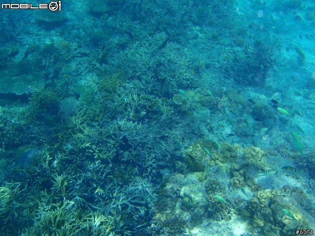 不專業的 OLYMPUS µ1030SW 下海照