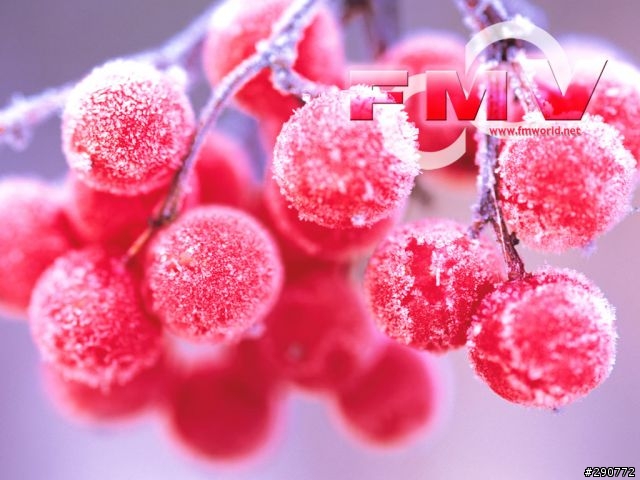 日本Fujitsu笔电桌布分享:新增fmv俱乐部8周年壁纸,6.13日又新增4张!