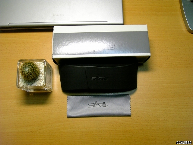 [非專業分享]奧地利逸品silhouette 2008新框