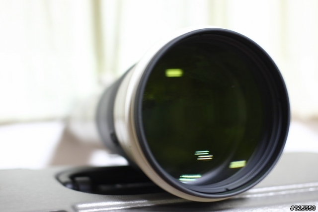 EF 800mm f5.6L IS 閩江河口 共同的牽掛