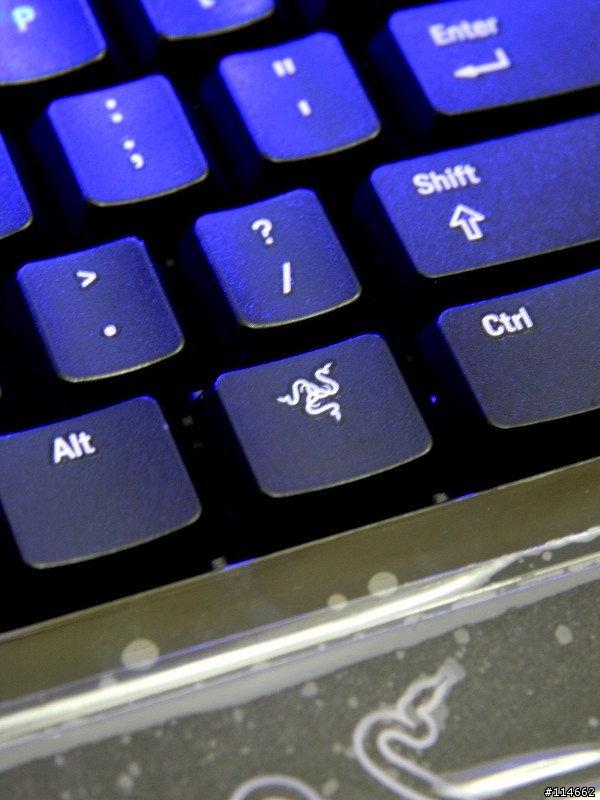 [蛇之閃光文]Razer全套裝備，群蛇出動開箱文