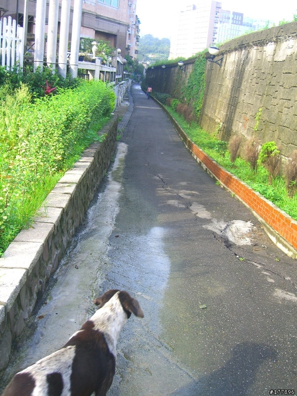 禮門街往中興路方向自行車道(圖多)