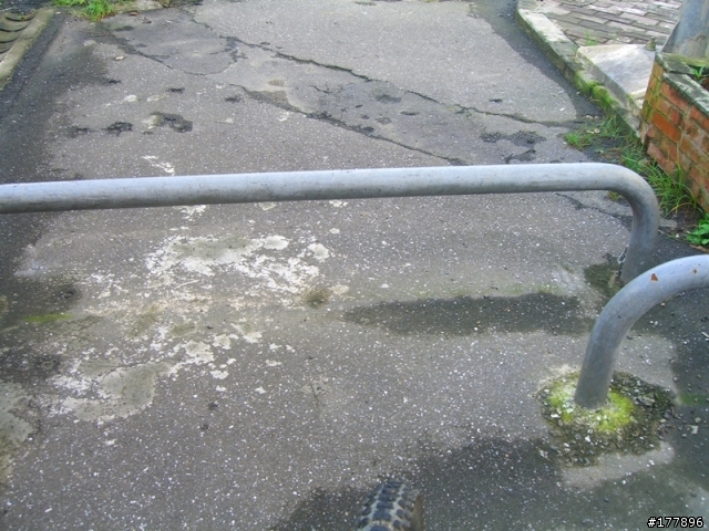 禮門街往中興路方向自行車道(圖多)