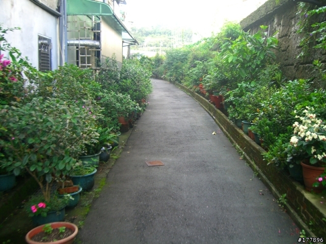 禮門街往中興路方向自行車道(圖多)