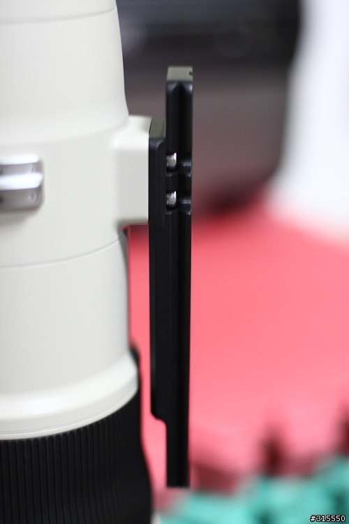 EF 800mm f5.6L IS 閩江河口 共同的牽掛