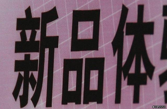 EF 800mm f5.6L IS 閩江河口 共同的牽掛