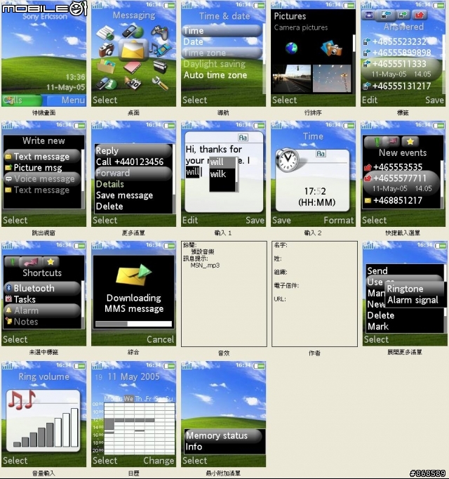[176*220] 自製WINDOWS佈景主題