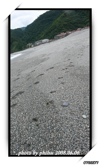 海灘狀況劇之貓咪追逐淚奔篇