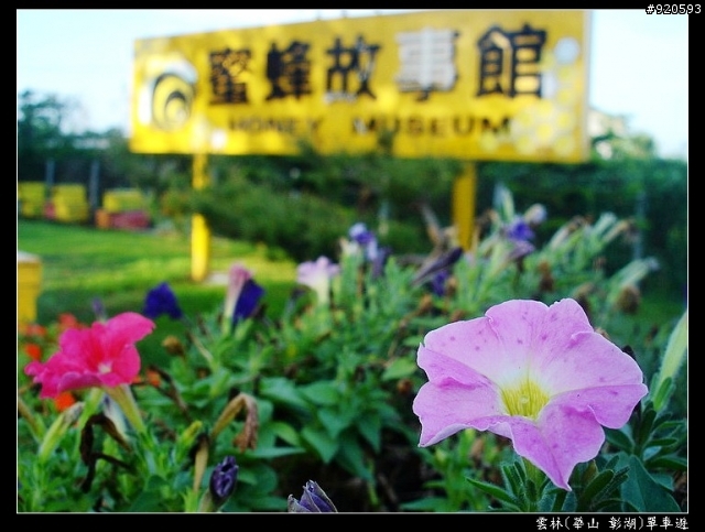 [遊記分享]雲林華山樟湖單車遊