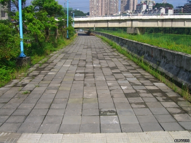 禮門街往中興路方向自行車道(圖多)