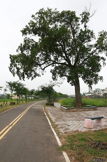 [路線分享] 潭雅神自行車道 - 中科站行經清泉路(東大路)往都會公園