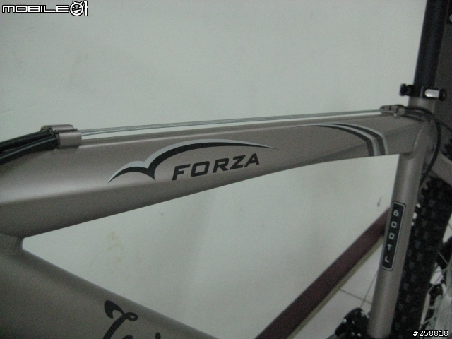 [分享]Tonino Lamborghini Forza~買不起藍寶堅尼也要騎過藍寶堅尼~