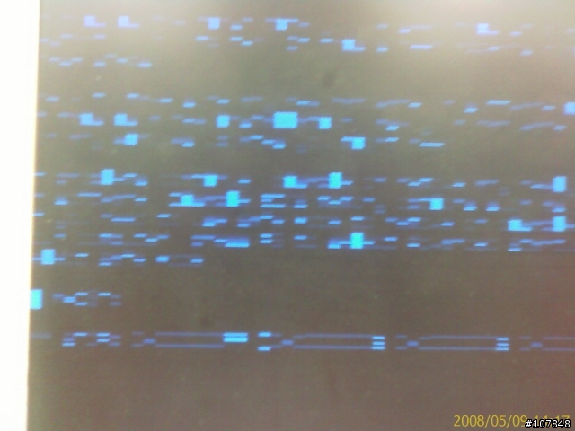 被搞昏的ASUS P5VD2-VM SE主機板