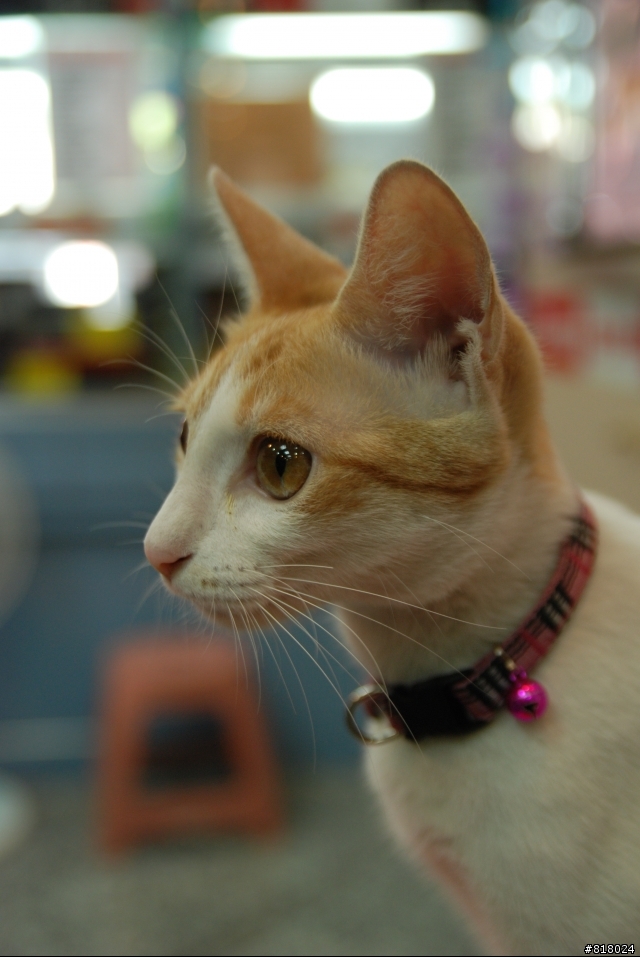 我的18-50mm F2.8 補作開箱文~~~CC