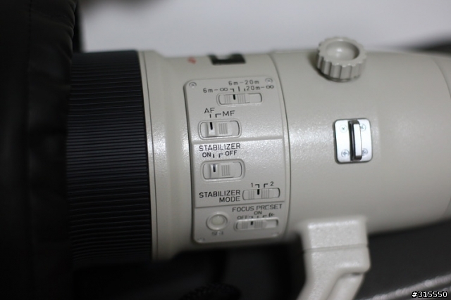 EF 800mm f5.6L IS 閩江河口 共同的牽掛
