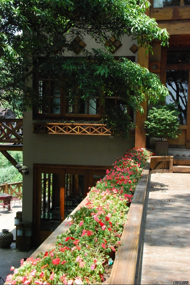 苗栗油桐花坊