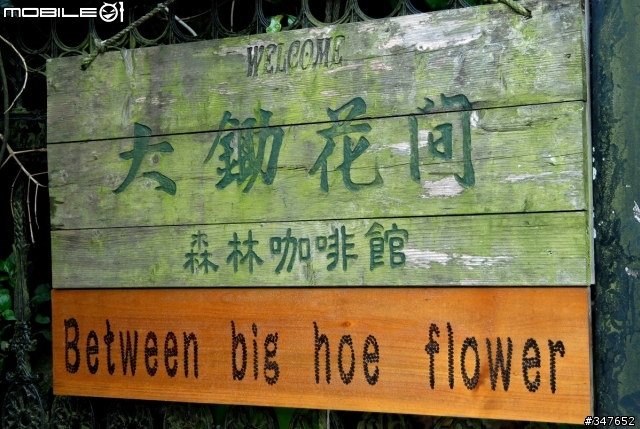 2008.06.29 關仔嶺逆襲