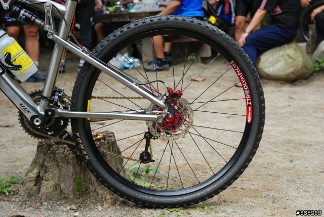 [分享]鈦合金雙避震登山車 LiteSpeed Sewanee Ti MTB