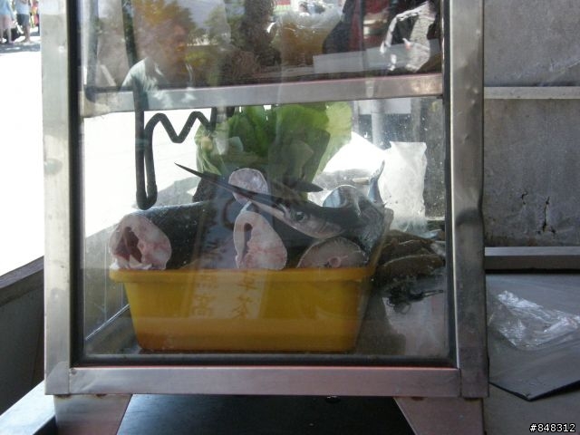 台灣琉球 -之- 海水正藍