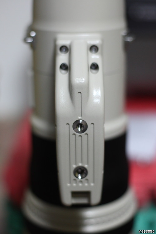 EF 800mm f5.6L IS 閩江河口 共同的牽掛