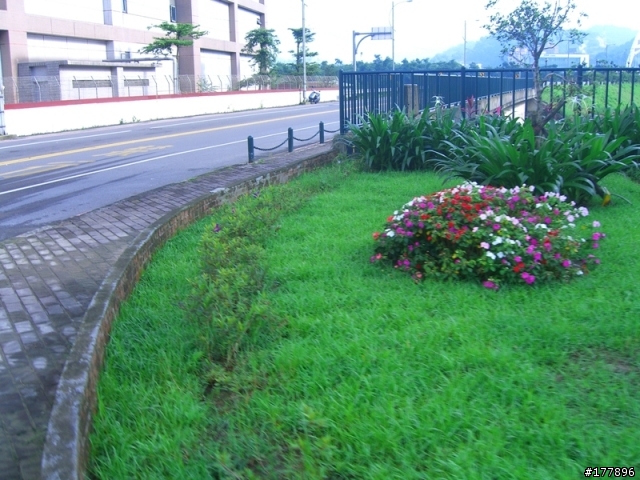 禮門街往中興路方向自行車道(圖多)