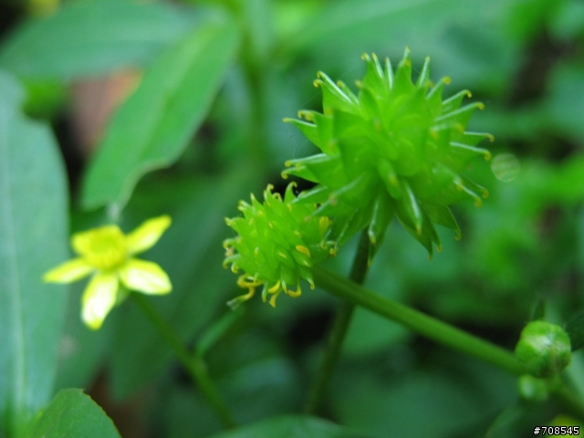 A640新手 請各位幫我看看吧!