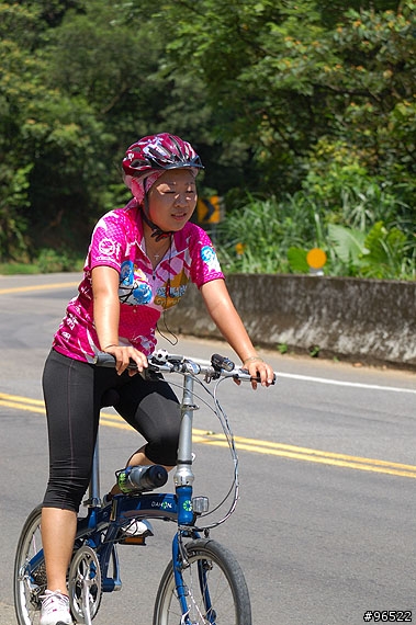 [照片]20080622三芝小豬，桃紅軍團出動！
