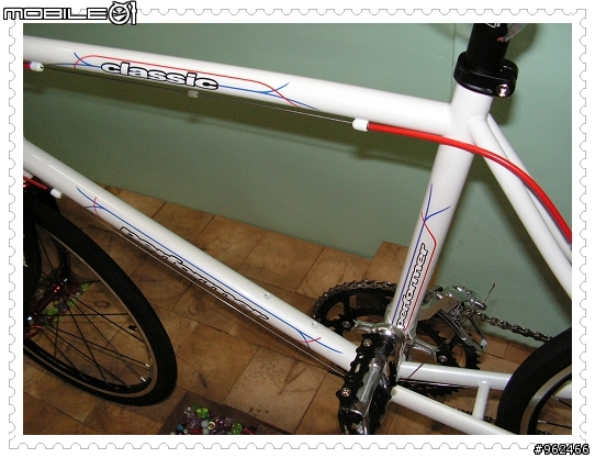 PERFORMER RACE小徑車入手