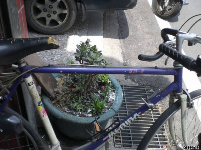 一片G牌鋼管車復活的聲浪中M牌在哪阿(破除萬難M牌鋼管重生)